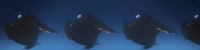 864x220