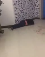288x360
