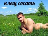 500x380