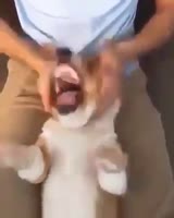 288x360