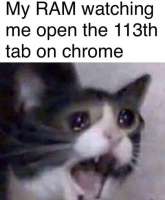750x907