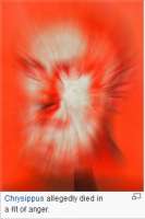 229x343