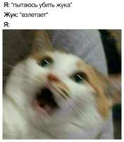 700x793