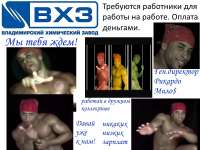 800x600