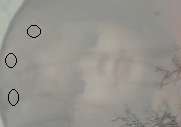 181x127