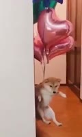 360x600