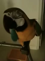 270x360
