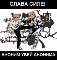 464x487
