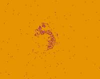 224x177