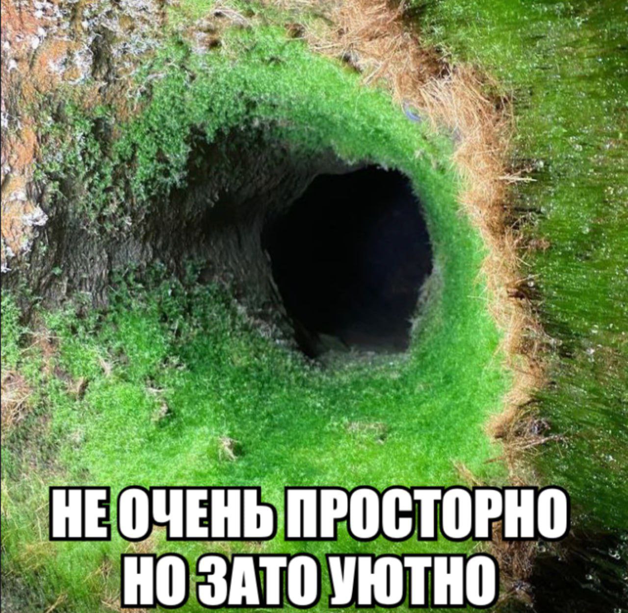 1280x1249
