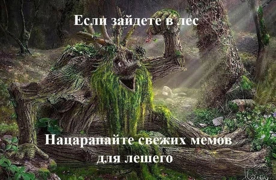 920x600