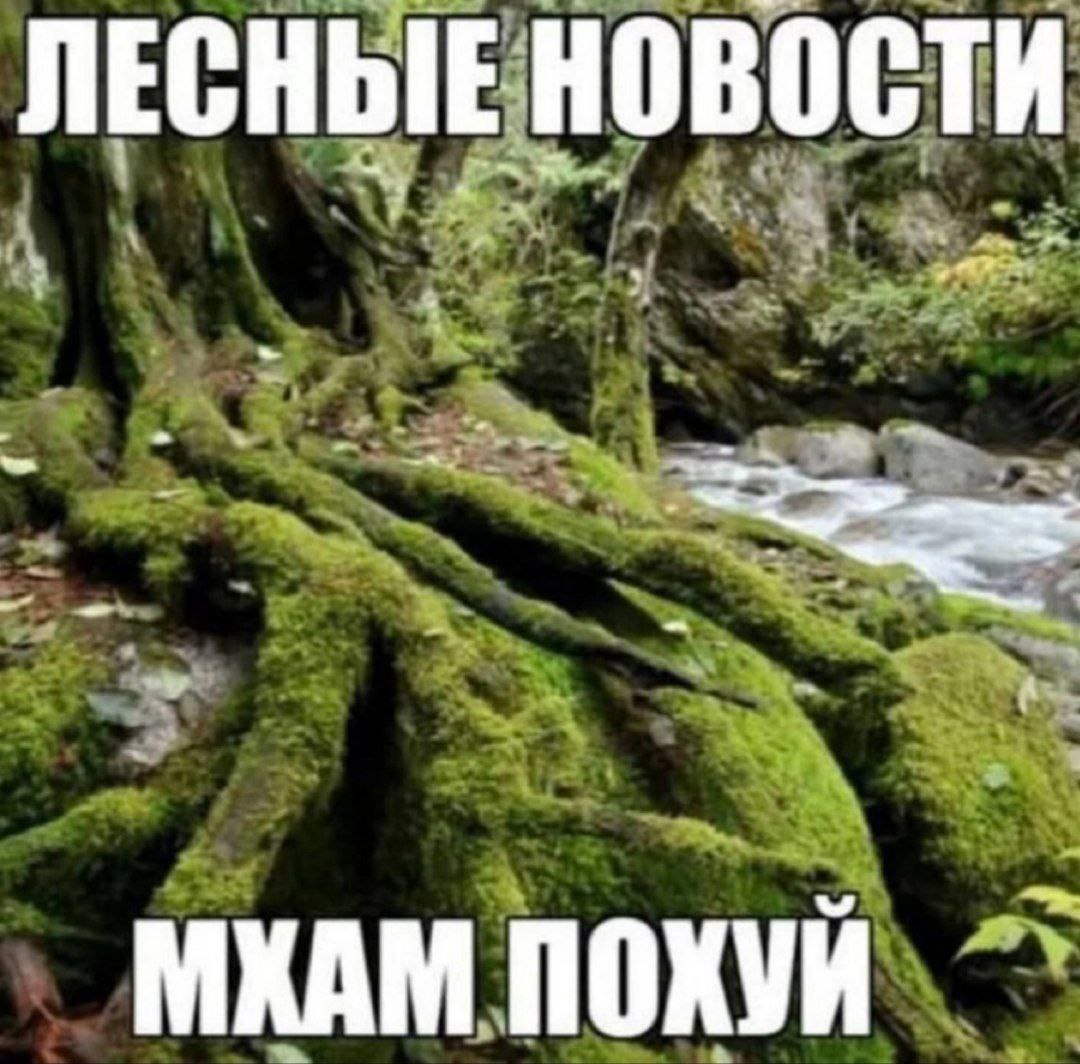 1080x1064
