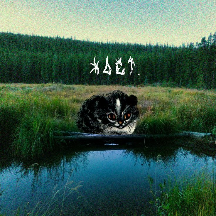 736x736