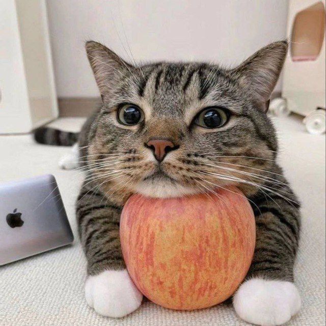 640x640