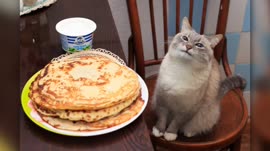 3457