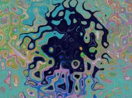 800x600