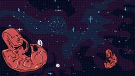 427x240