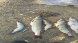 640x352