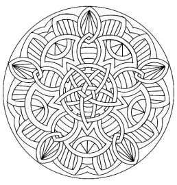 1000x1044