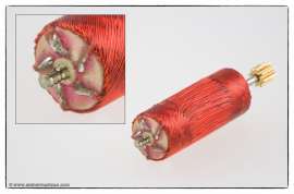 800x530