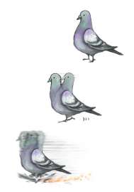 500x714