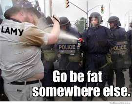 562x446