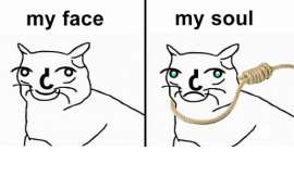 500x300
