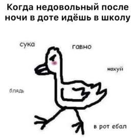 406x412