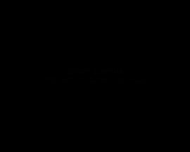 450x360