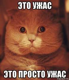 417x485