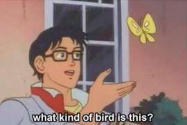 520x350