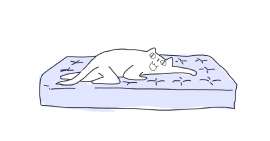 1407x738