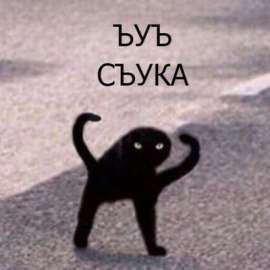 400x400