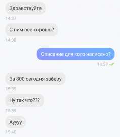 720x817