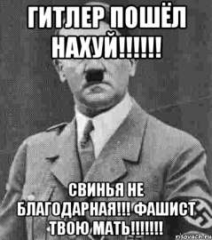 409x462
