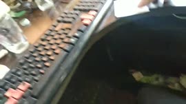 1280x720