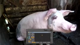 640x360