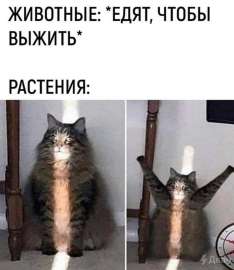 939x1080