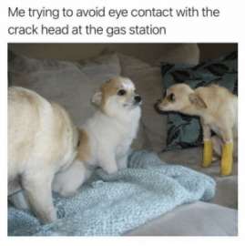 300x301