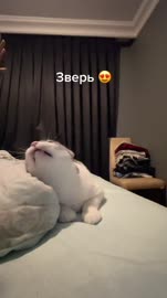 576x1024