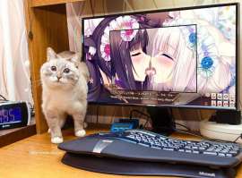 1200x886