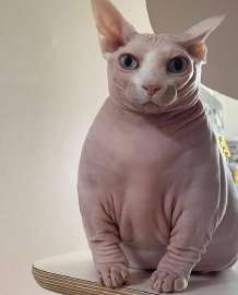 829x1024