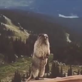 360x360