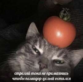 828x826