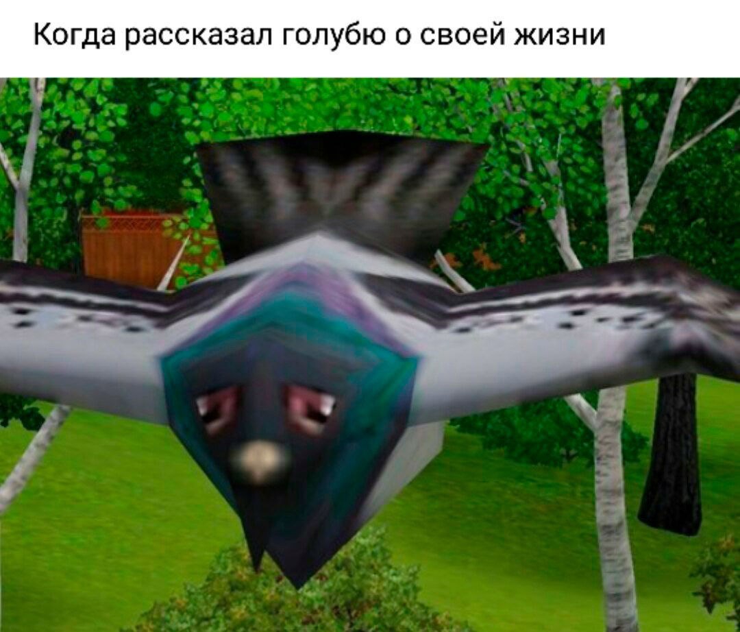 1080x922