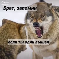 540x540