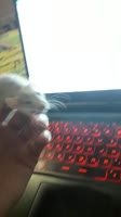 720x1280
