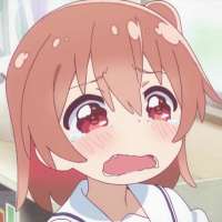 736x736