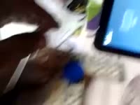 320x240