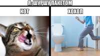 1600x900